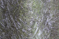 Hambleton fibreglass roof work